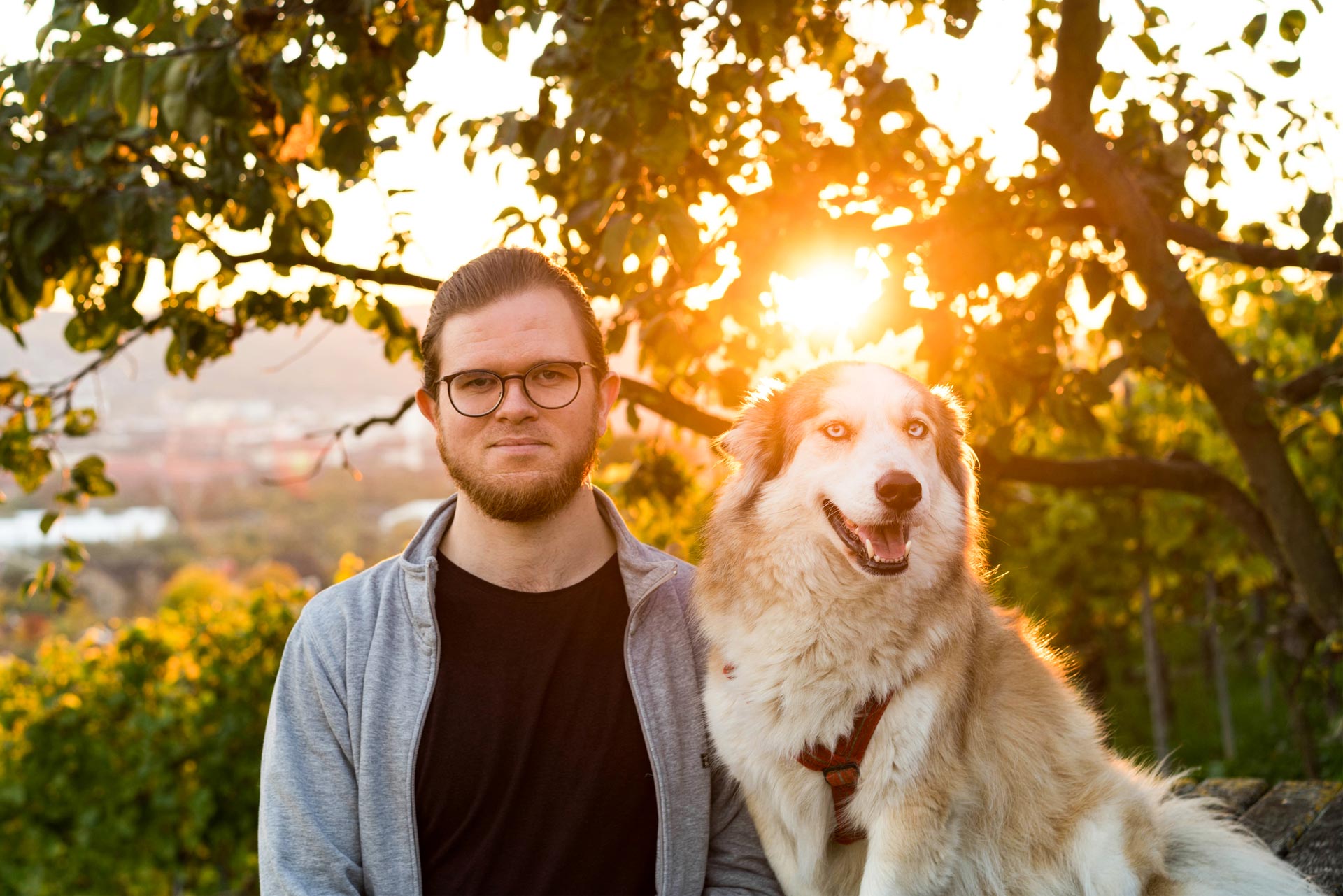 Joschka und Jake während des Sonnenuntergangs in den Weinbergen von Würzburg