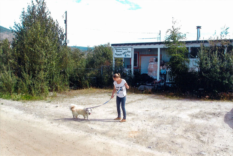 The first picture of Jake in front of the shelter