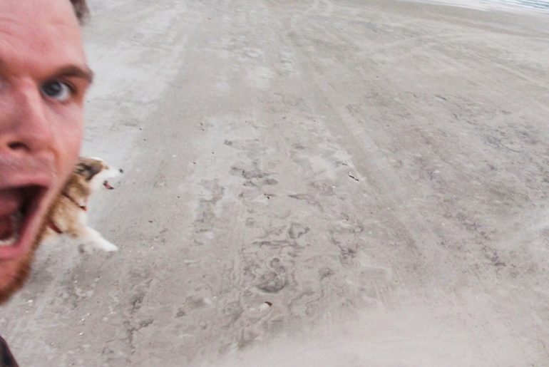 7 Tipps wie du deinen Hundealltag aufpeppst Ein Mensch und Hund haben sichtbar viel Spaß am Strand