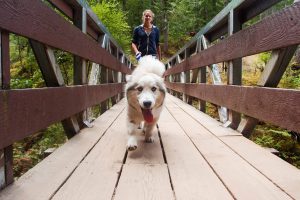 Meine Freundin mit Hund auf Vancouver Island