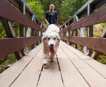 Meine Freundin mit Hund auf Vancouver Island