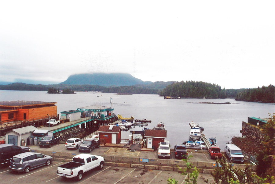 View on harbour in Tofino