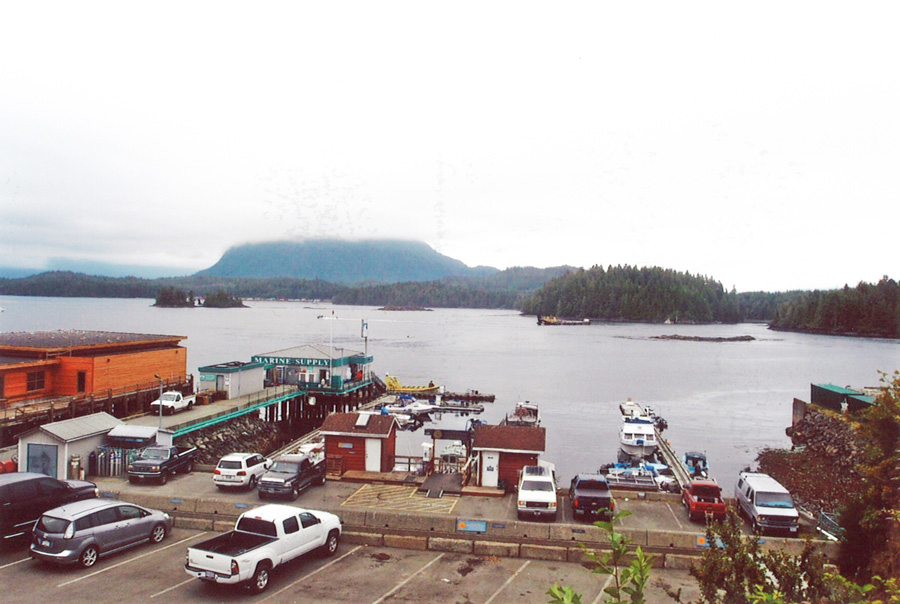 Blick auf den Hafen von Tofino