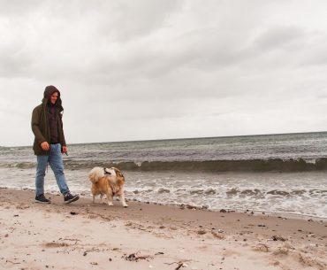 Spaziergang mit Hund am Strand