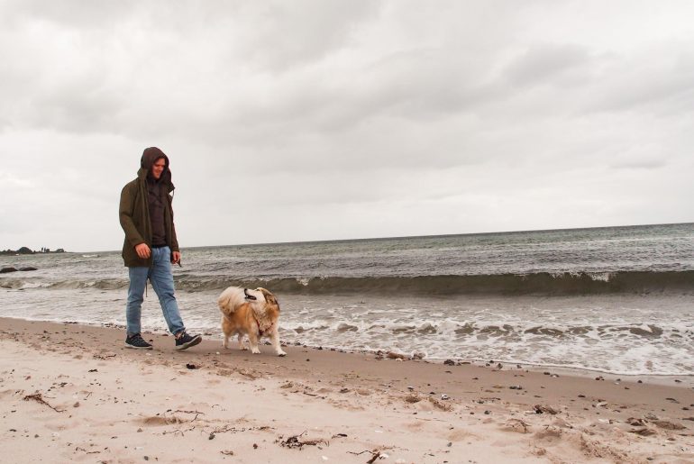How to bond with your dog – the first years Walkie with dog at the beach