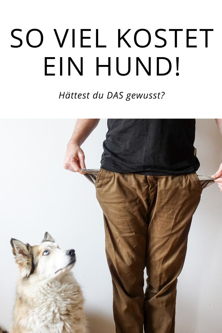 wievielkosteteinhundjaehrlichmonatlich Cosmopolidog