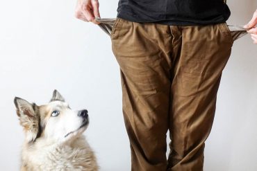 So viel kostet ein Hund – mit Beispielrechnung Ein Hund kostet viel Geld. In diesem Artikel zeige ich dir, wie viel Kosten für einen Hund anfallen.