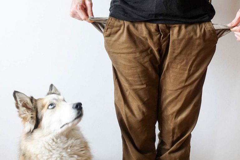 So viel kostet ein Hund – mit Beispielrechnung Ein Hund kostet viel Geld. In diesem Artikel zeige ich dir, wie viel Kosten für einen Hund anfallen.